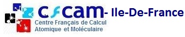 logo CFCAM